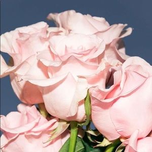 Meet your Posher, Monique